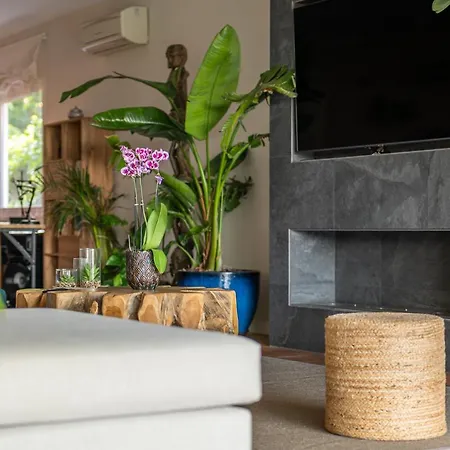 Barcelona's Tropical Oasis Villa