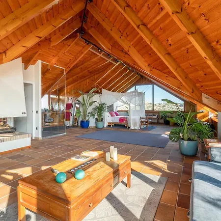 Villa Barcelona's Tropical Oasis