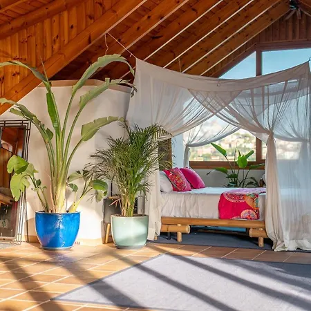 Barcelona's Tropical Oasis 산트 저스트 데스번
