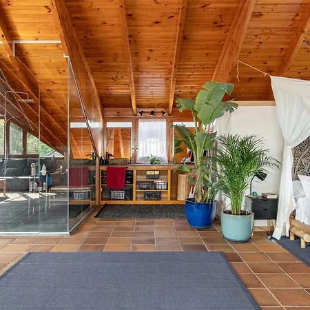 Barcelona's Tropical Oasis * Sant Just Desvern