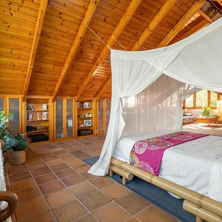 Villa Barcelona's Tropical Oasis Sant Just Desvern